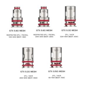 Résistances GTX 2 Mesh (0.2/0.3/0.6/0.8 ohm) Vaporesso