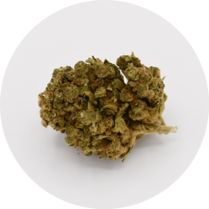 Blueberry Cheese fleur