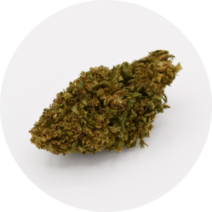 Bubblegum fleur