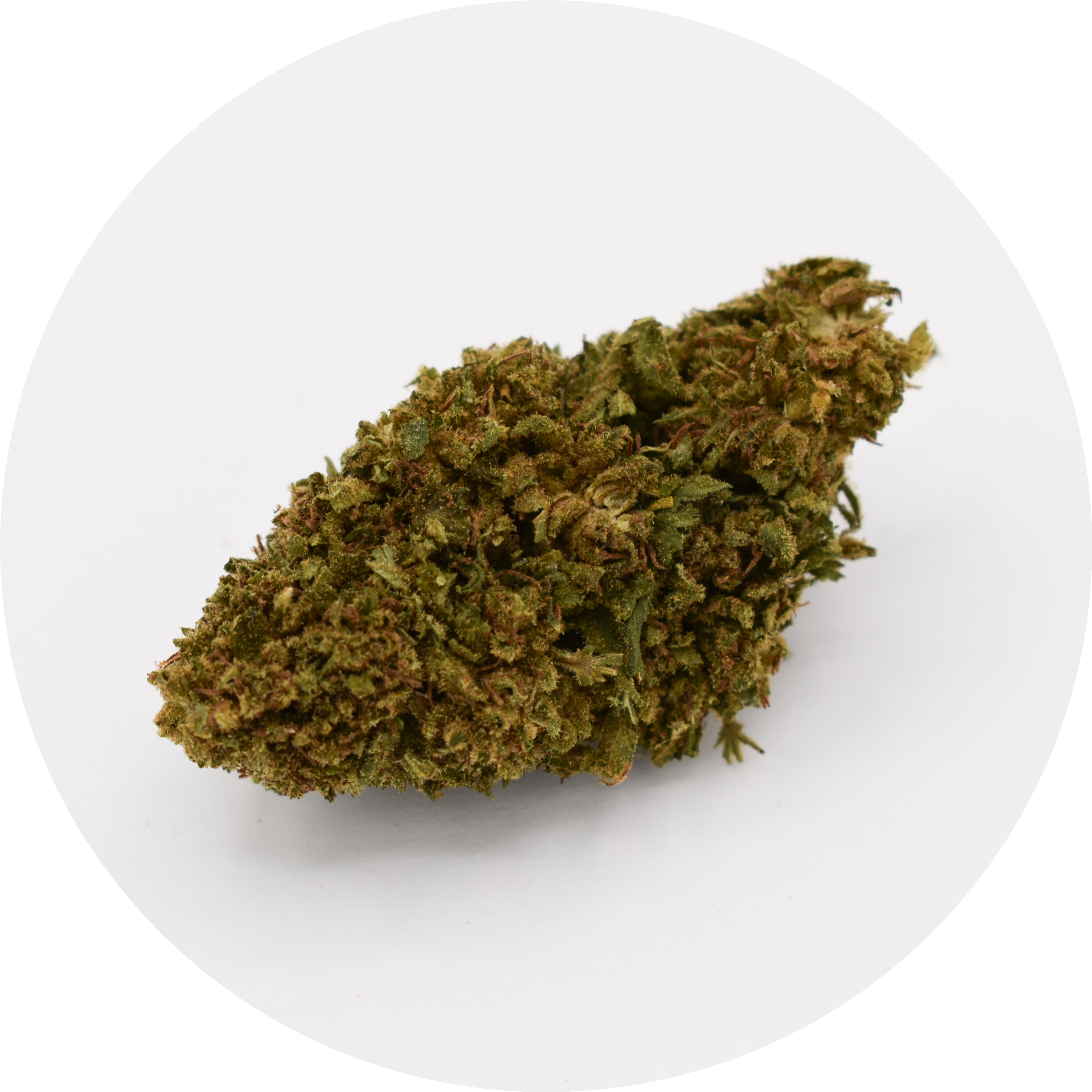 Bubblegum fleur
