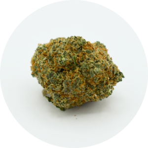 Cali Mandarine fleur