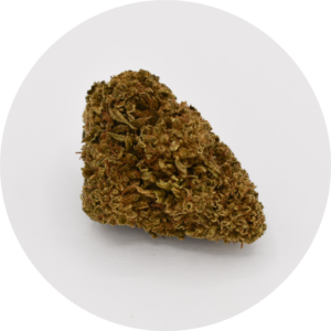 Candy Kush fleur