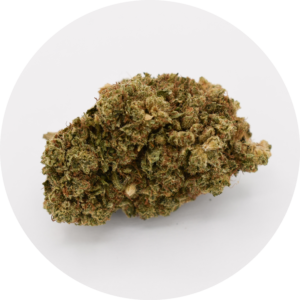 Guava fleur