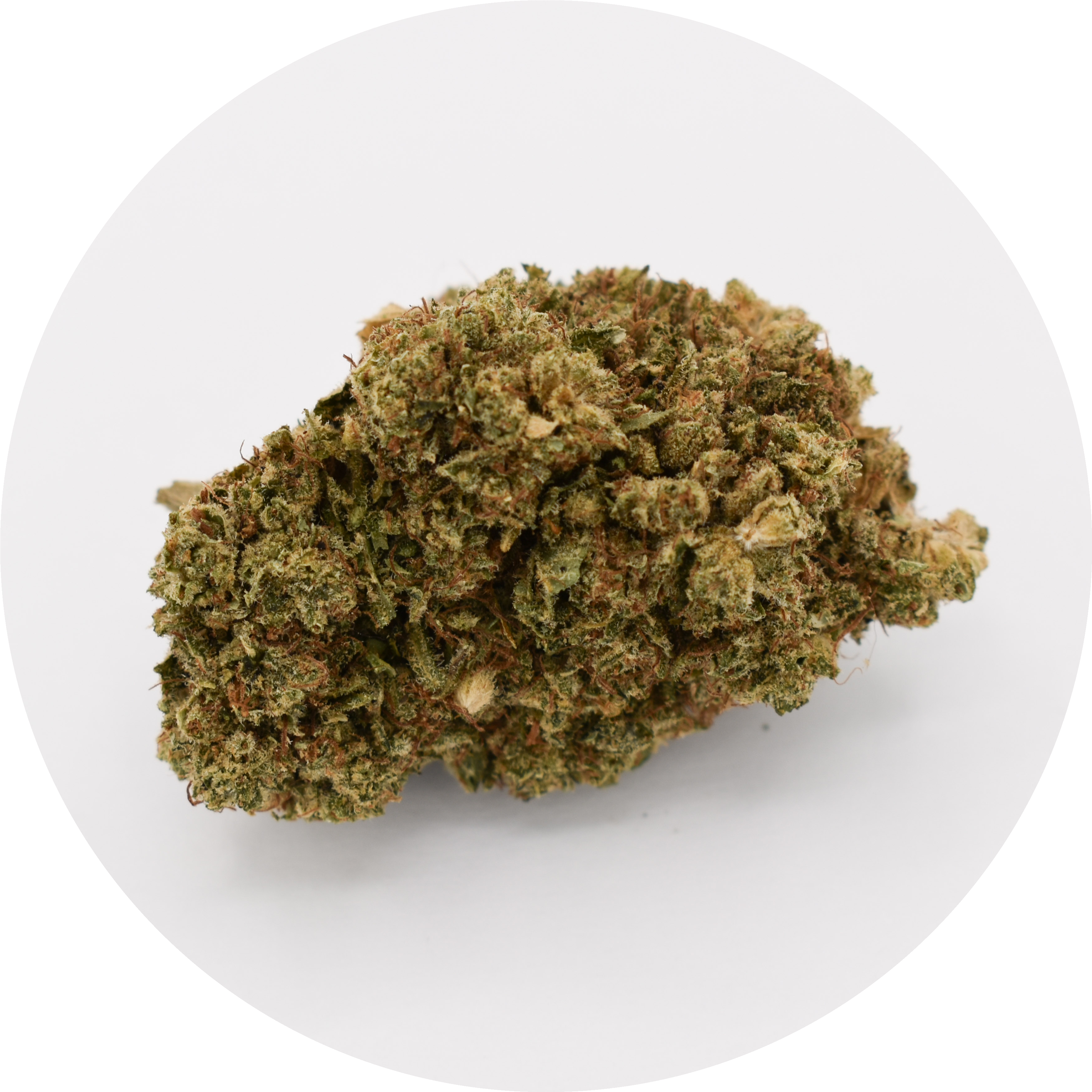 Guava fleur