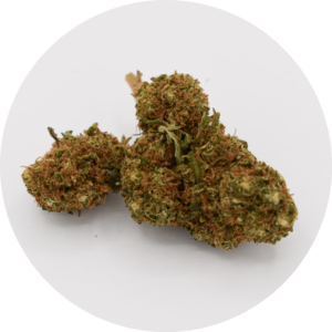 Sunset Sherbert fleur