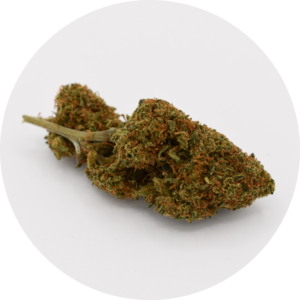 Tangerine fleur